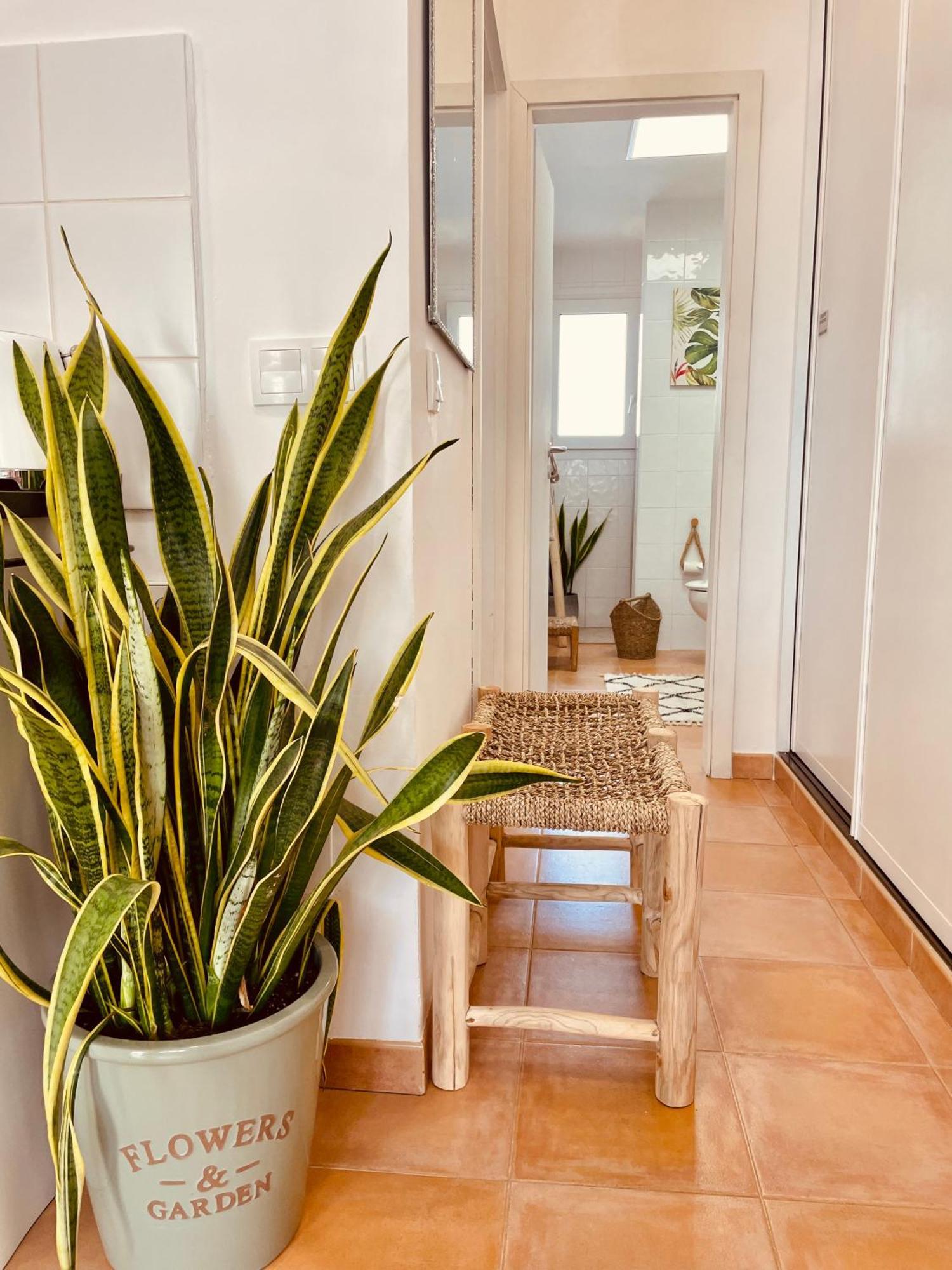 Somni - Boheme, Zen Et Chic Avec Piscine Apartment *